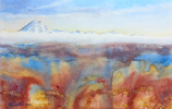 Desert Road Deep by Sue Graham